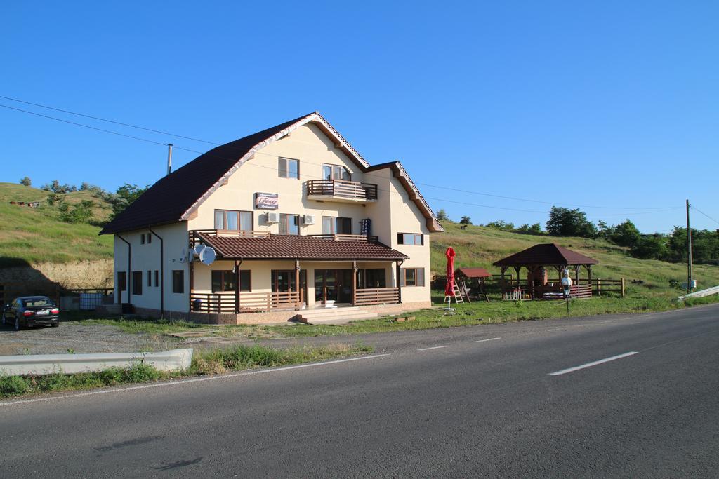 Pensiunea Fery Slobozia-Oancea Exterior foto