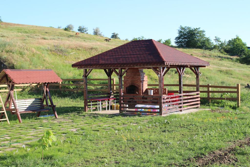Pensiunea Fery Slobozia-Oancea Exterior foto